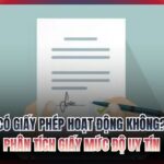 Có giấy phép hoạt động không